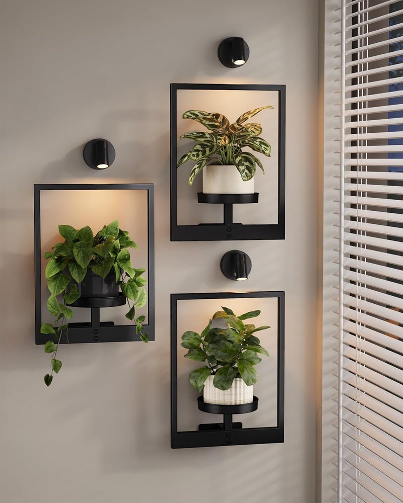 Bamworld Hanging Planters for Indoor Plants Wall Decor Living Room Plant Stand Indoor Wall Planters Plant Hanger Window Plant Shelves 3-Packs with Lights - Image 1